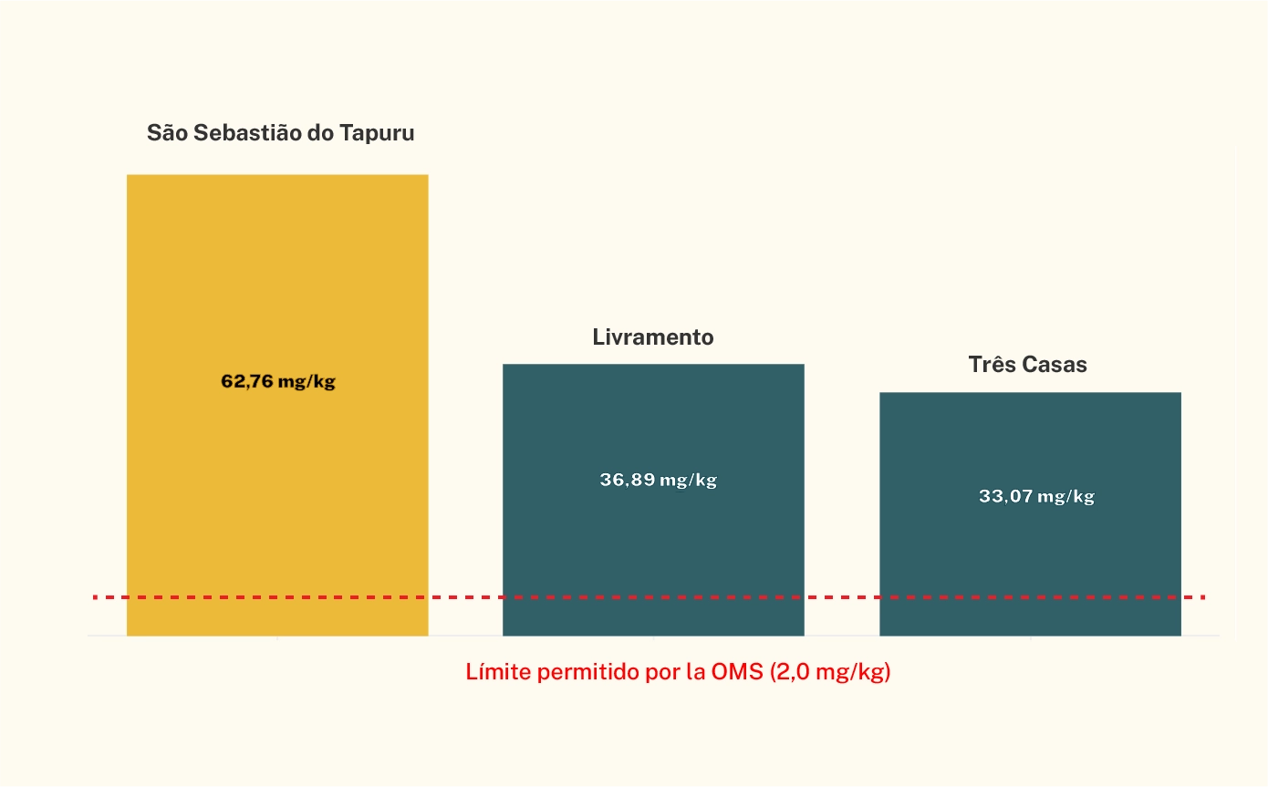 El bajo Madeira concentra los valores más altos de mercurio en personas de toda la base de datos.